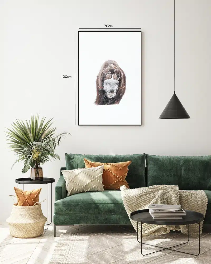 Muskox Plakat