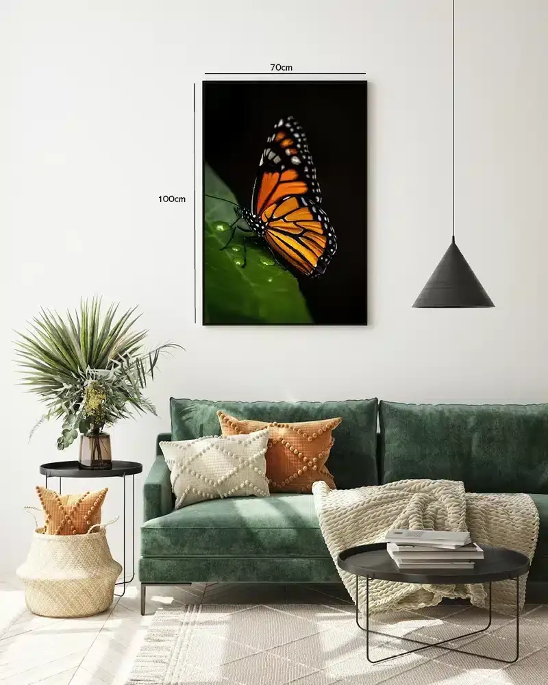 Monarch Butterfly Plakat