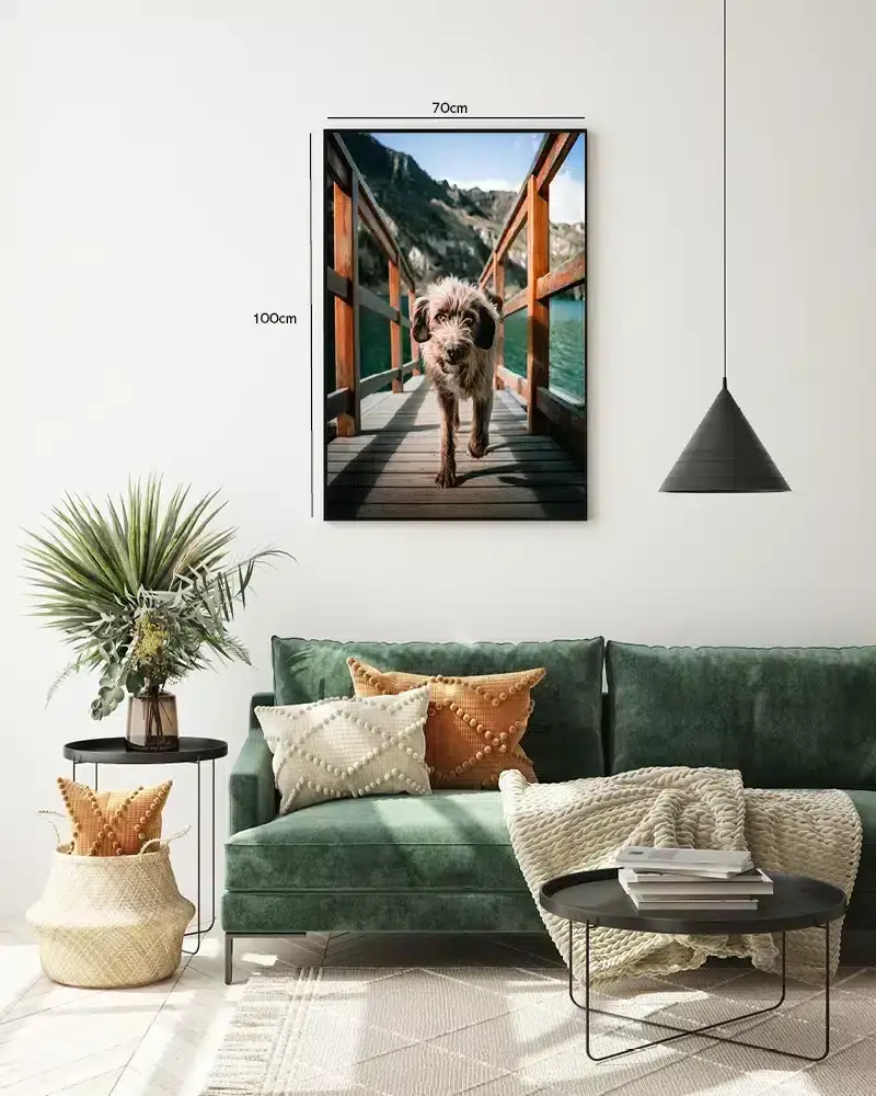 Wirehaired Dog Plakat