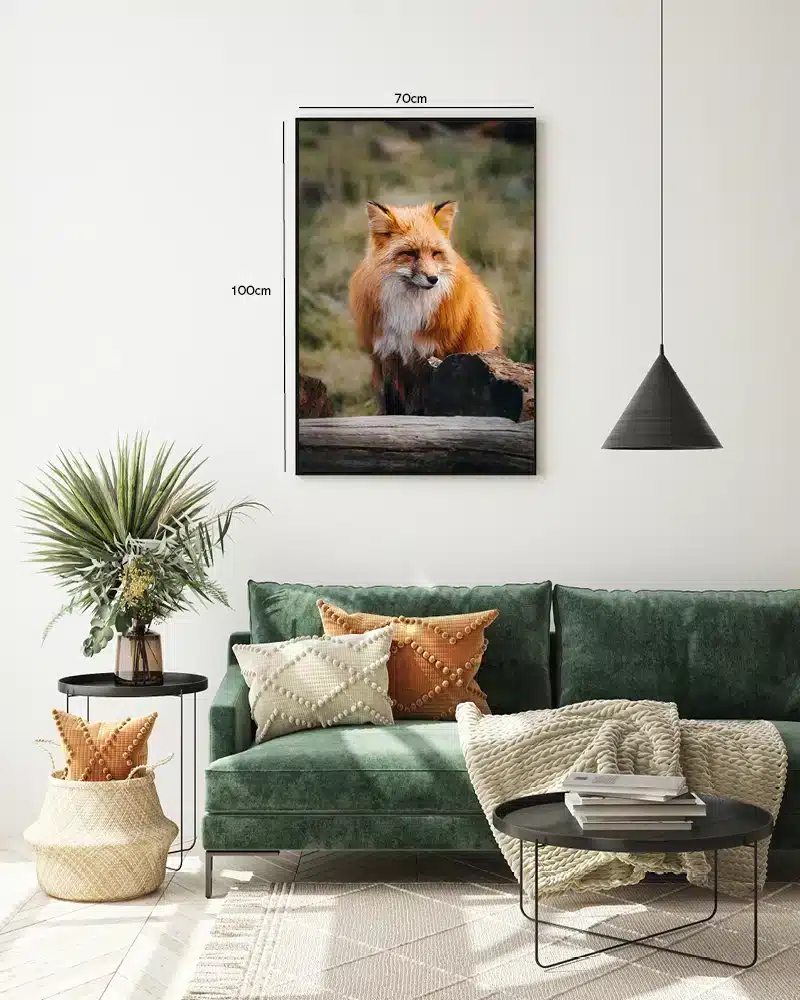 Red Fox Forest Plakat