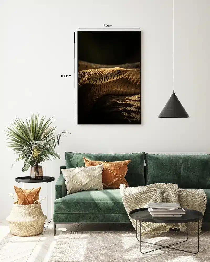 Snake Close Plakat
