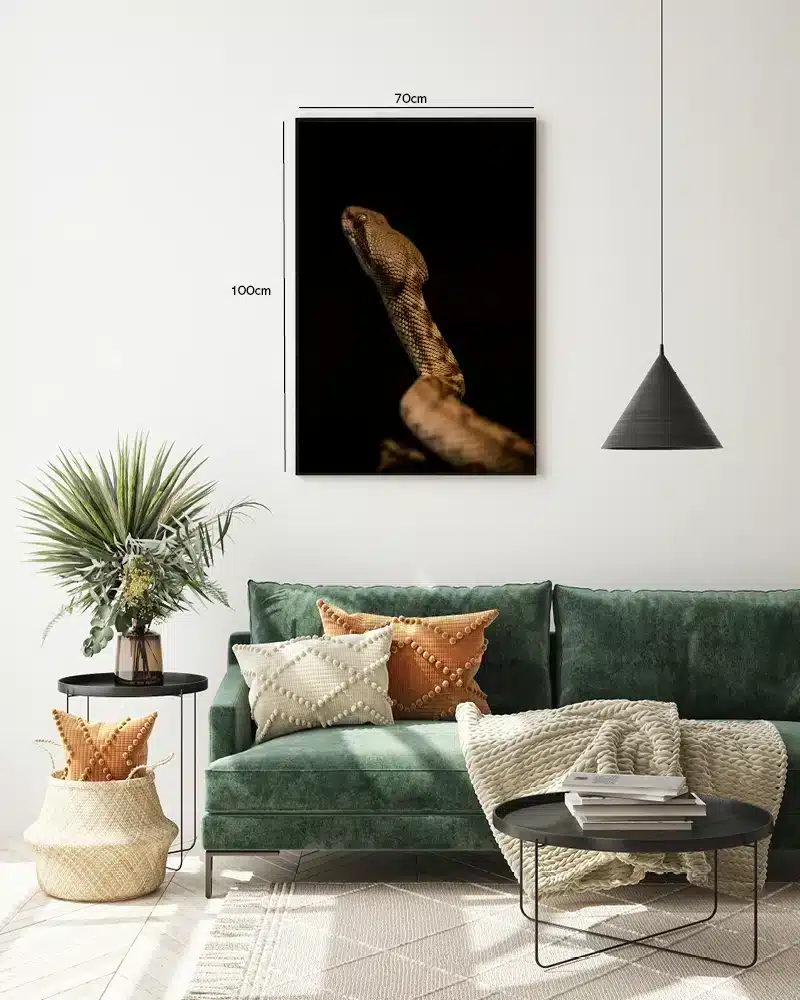 Snake Portrait Plakat