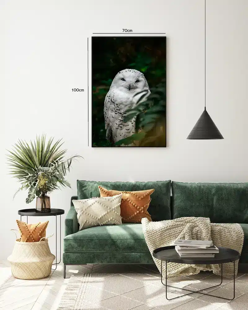 Snowy Owl Forest Plakat