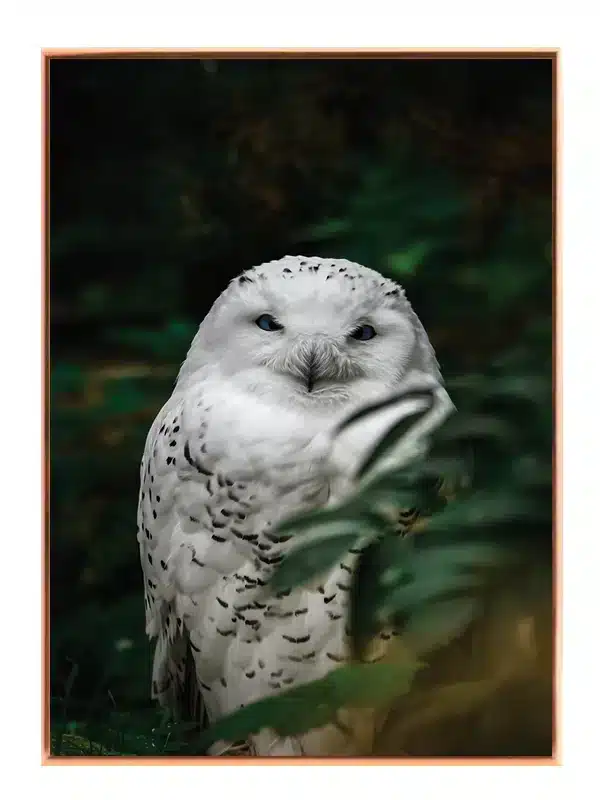 Snowy Owl Forest Plakat