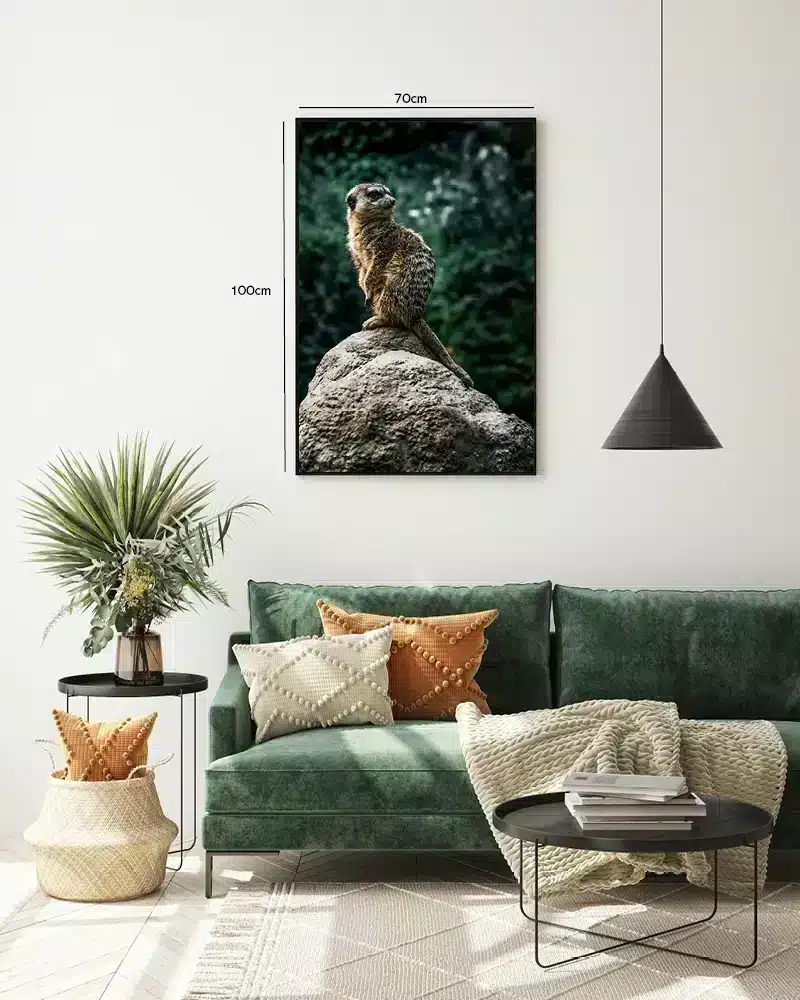Meerkat On Plakat