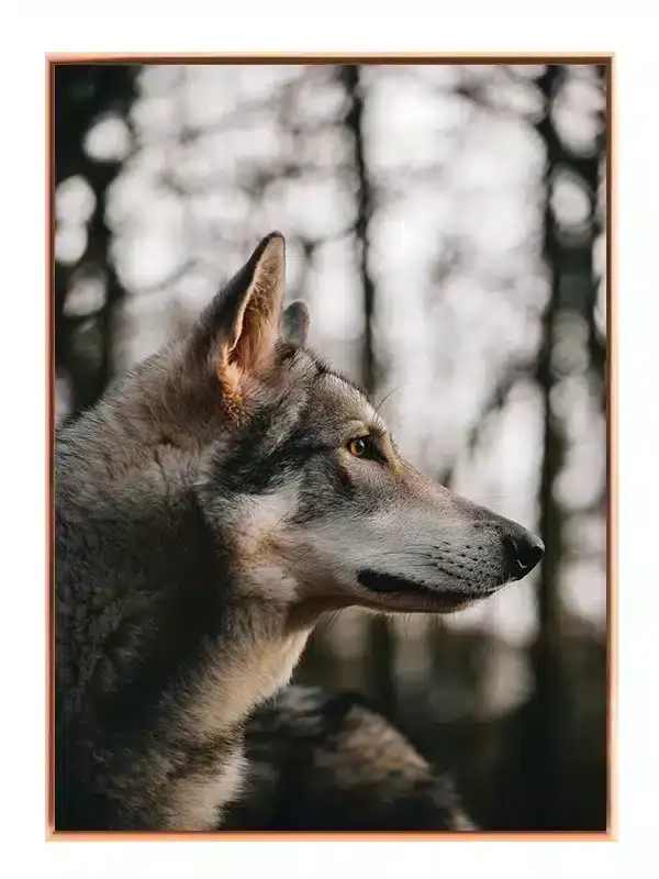 Wolf Side Plakat