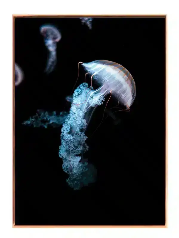 Jellyfish Blue Glow Plakat