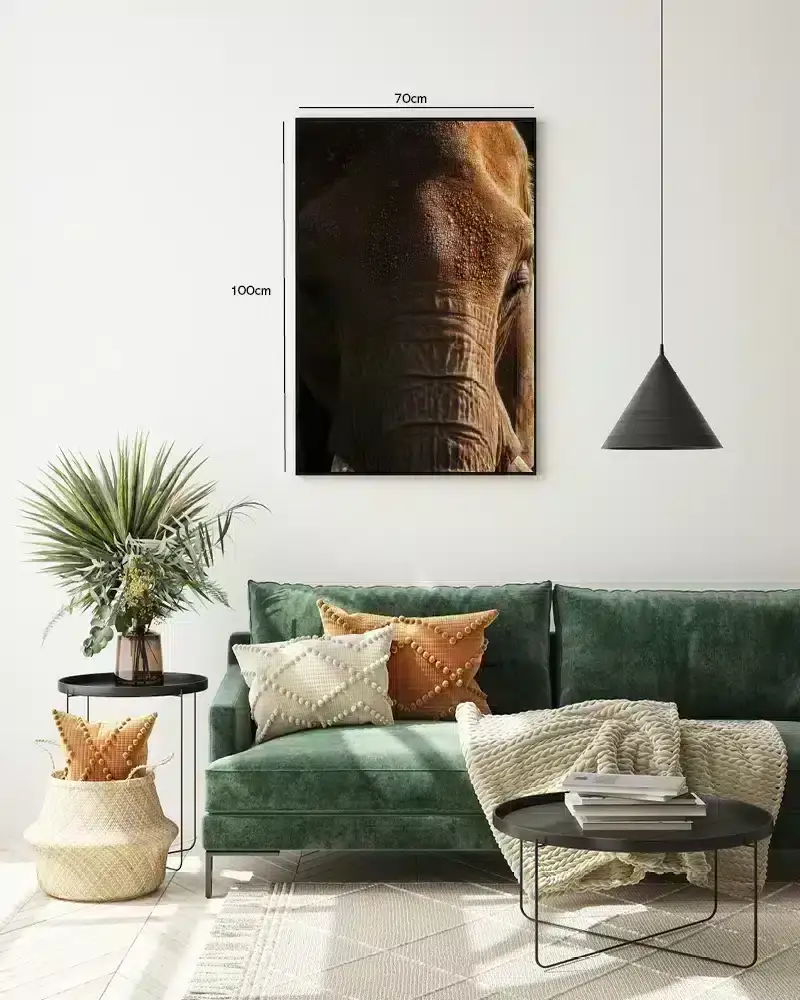 Elephant Close Plakat