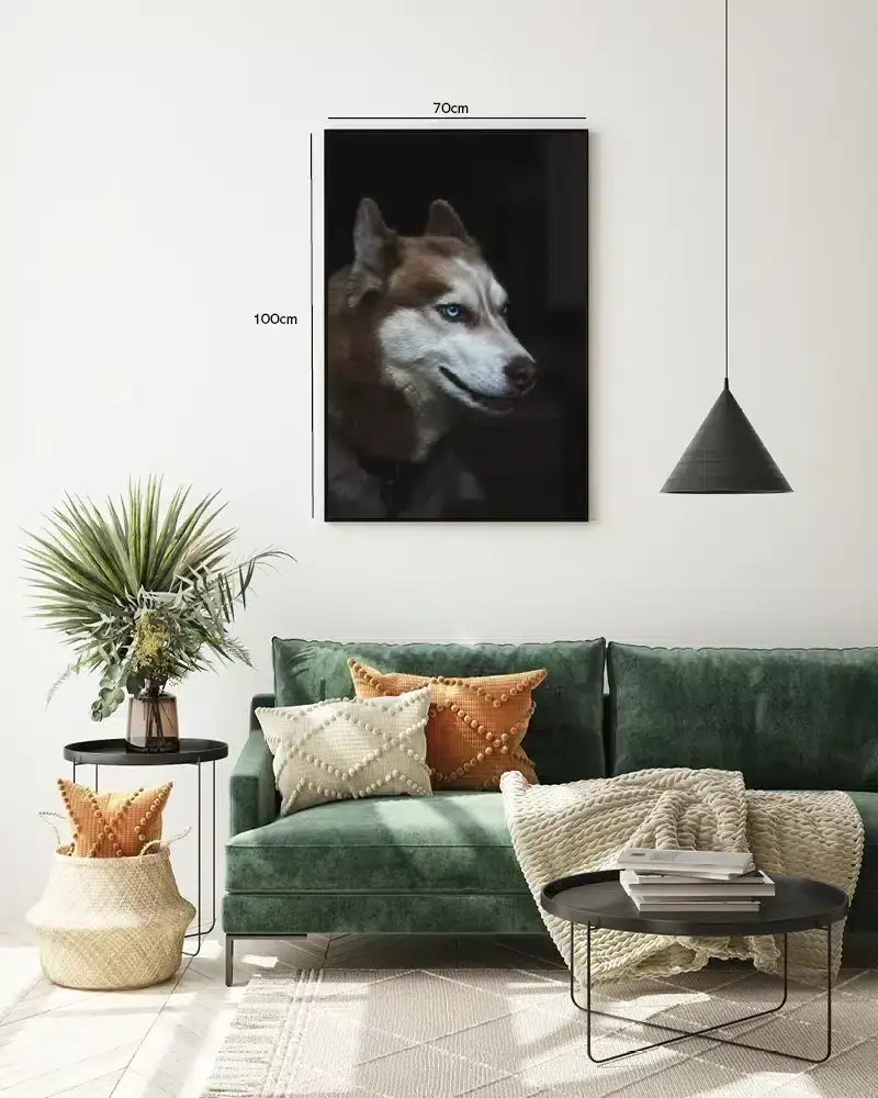 Siberian Husky Close Up Plakat