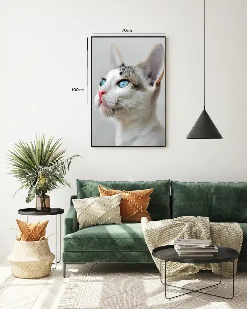 Blue Eyed Plakat