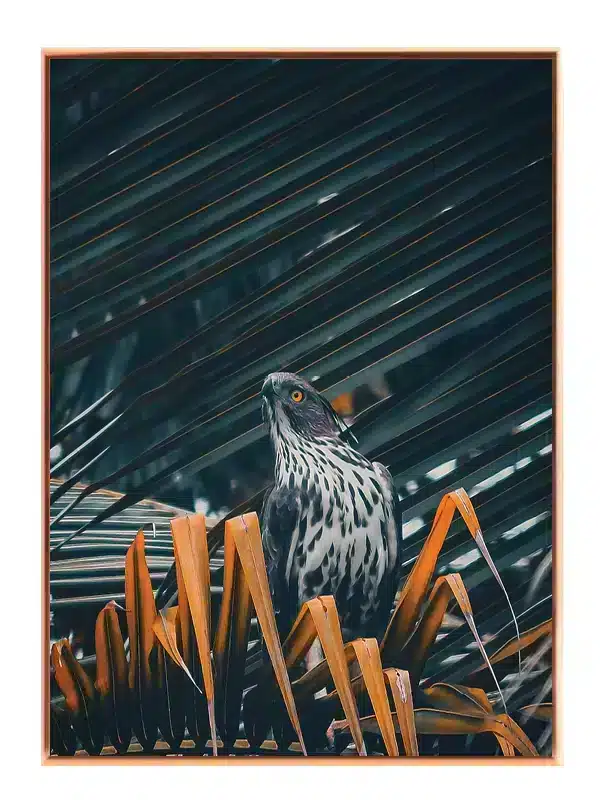 Bird Crested Plakat