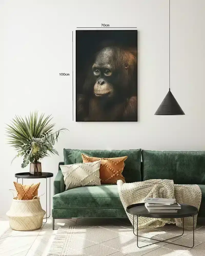 Orangutan Portrait Plakat