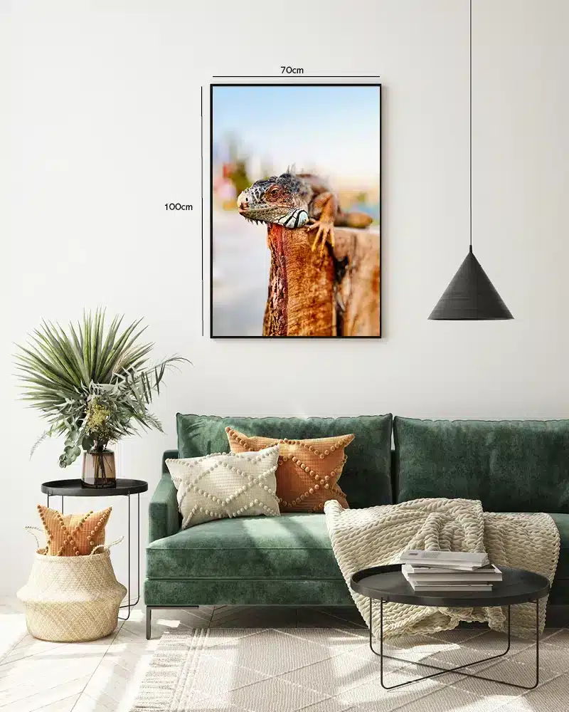 Bi Iguana Plakat