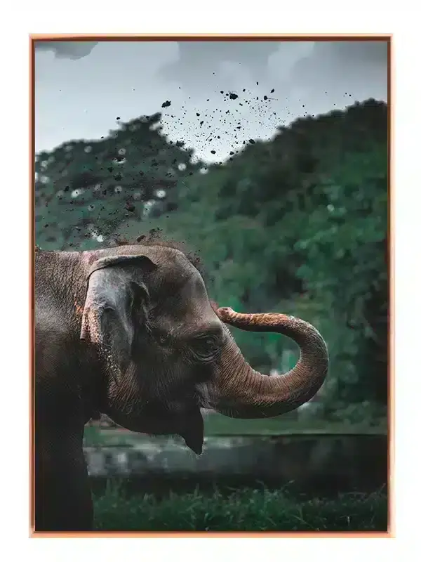 Asian Elephant No2 Plakat