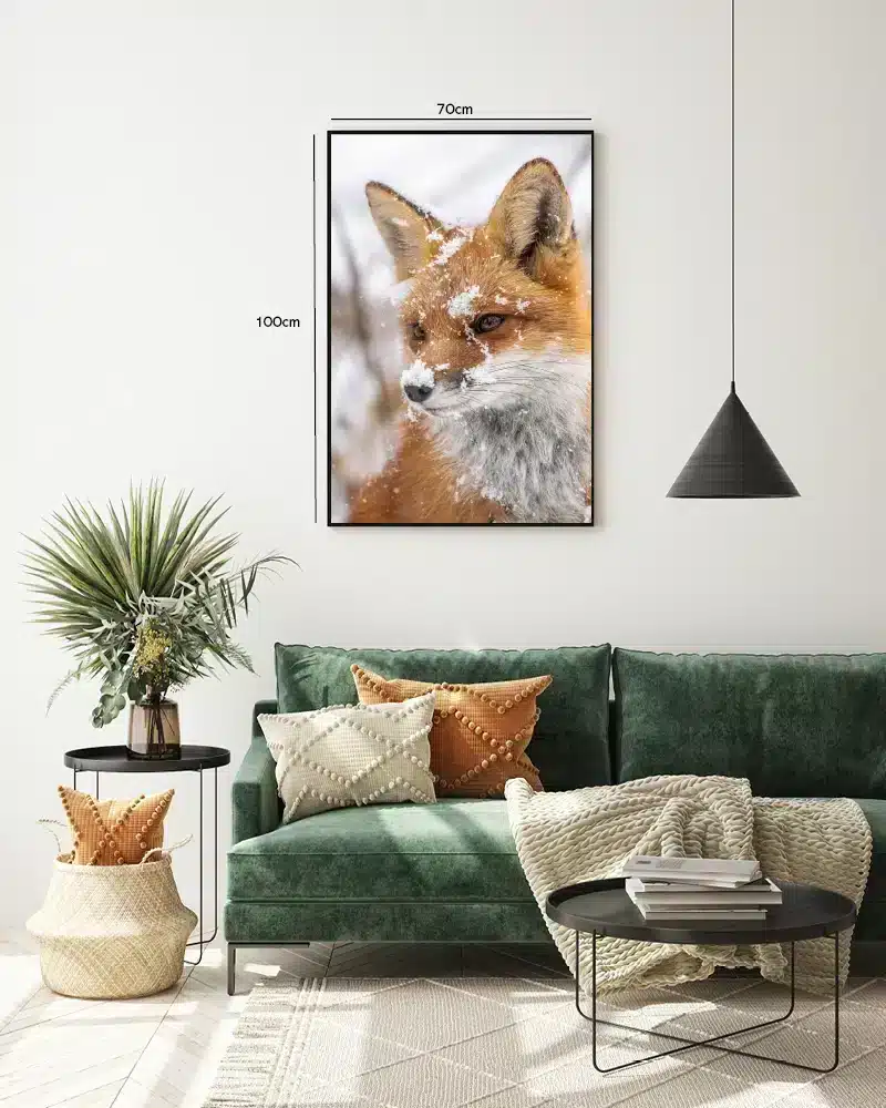 Red Fox Snow Plakat