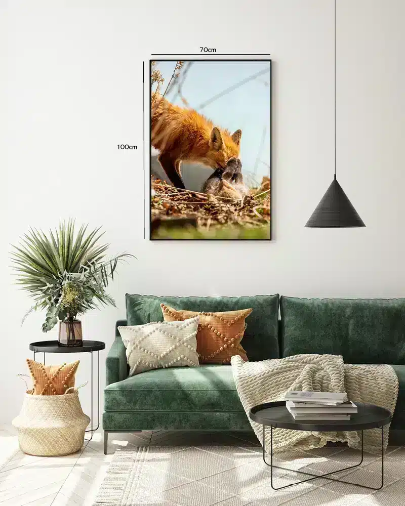 Red Fox Play Plakat
