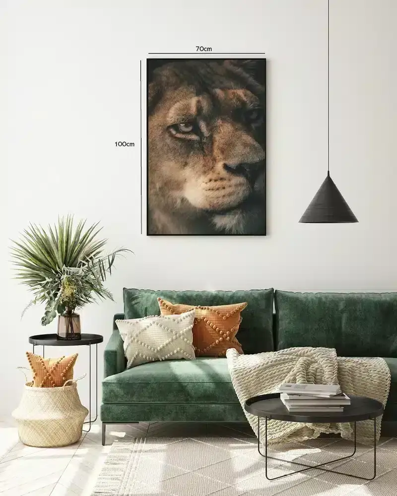 Lioness Face Plakat
