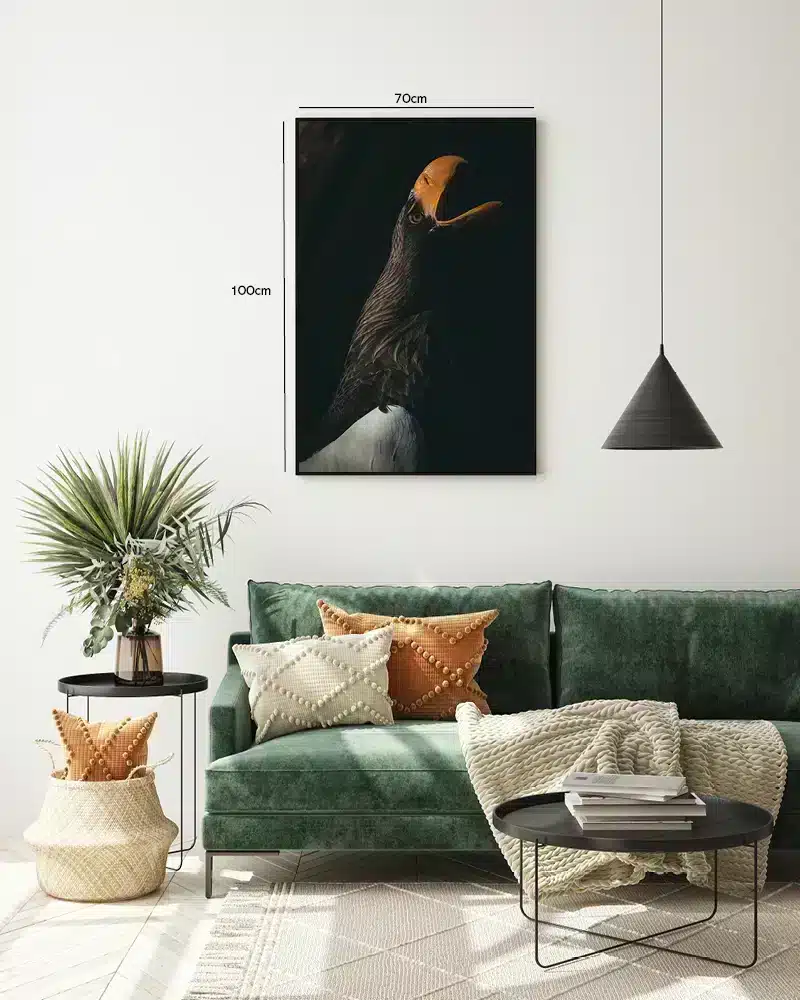 Steller Sea Eagle Plakat