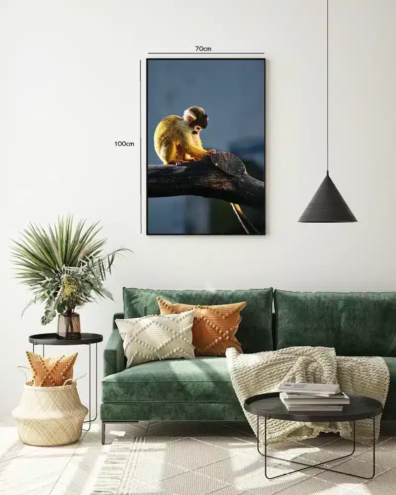 Squirrel Monkey Plakat