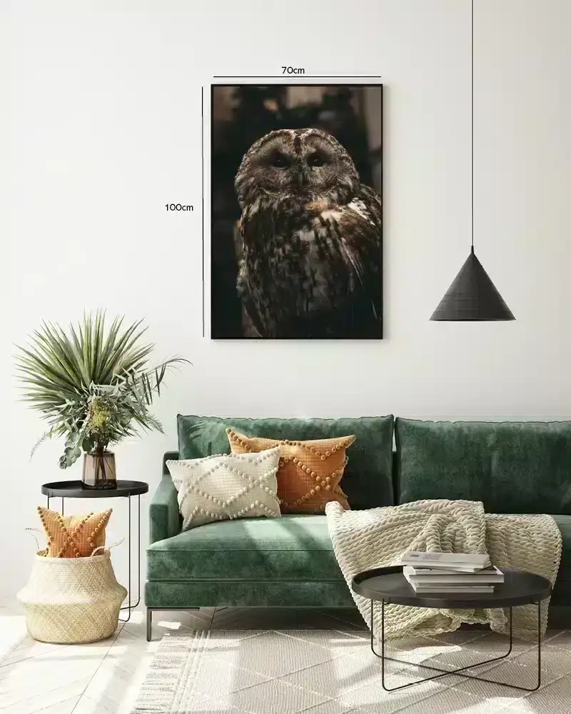 Tawny Owl Plakat