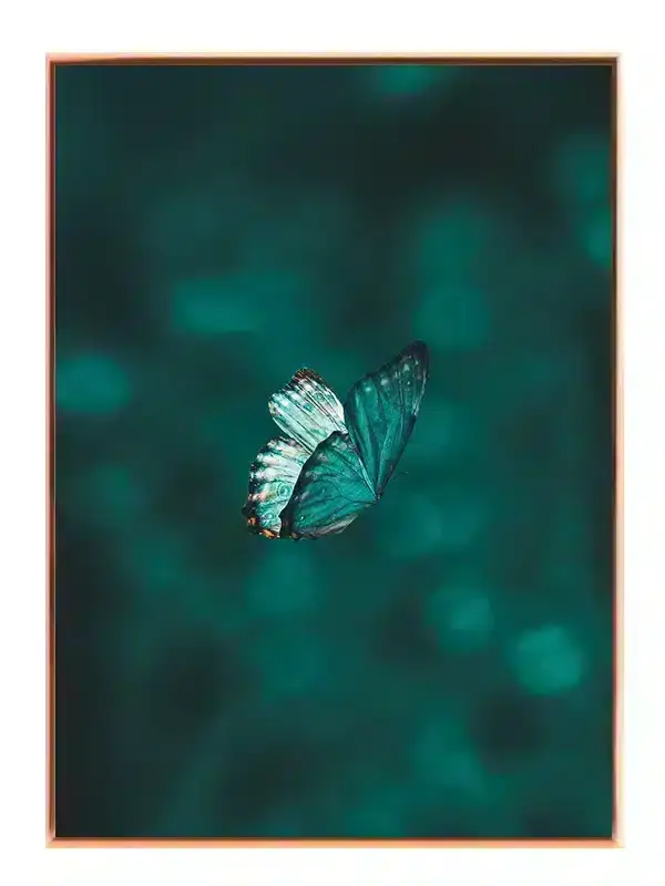 Blue Morpho Butterfly Plakat