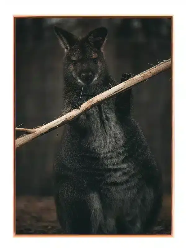 Ko Swamp Plakat