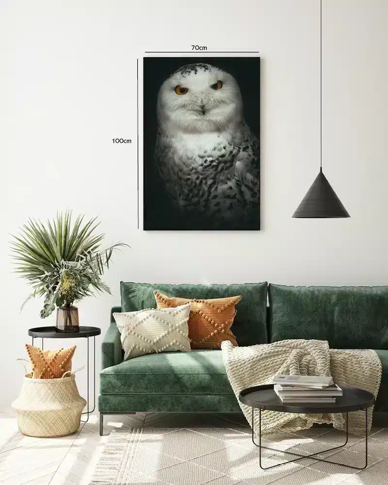 Snowy Owl Portrait Plakat