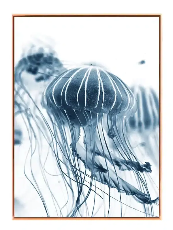 Jellyfish Blue Plakat