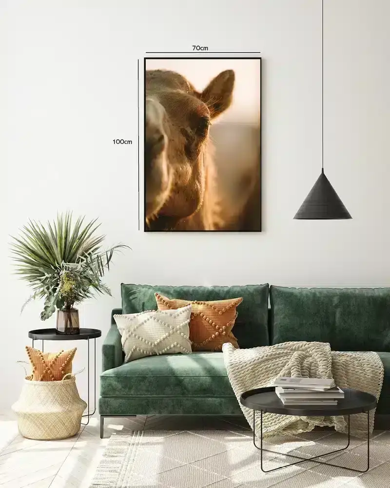 Bi Camel Closeup Plakat