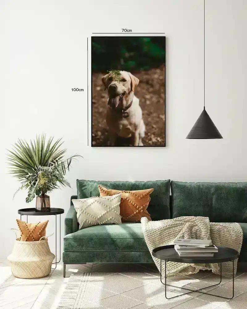 Labrador Retriever No2 Plakat