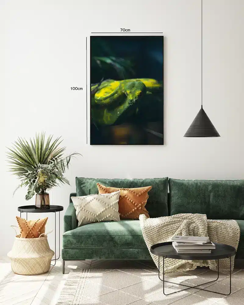 Slange Green Tree Python Plakat