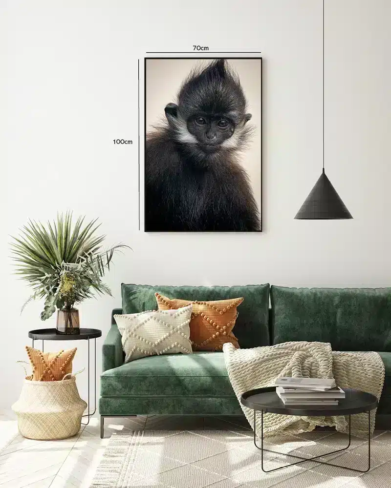 Dusky Leaf Monkey Plakat