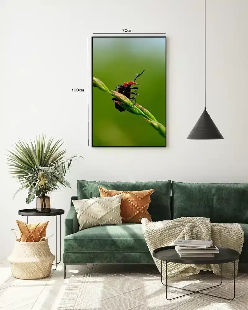 Red Headed Plakat