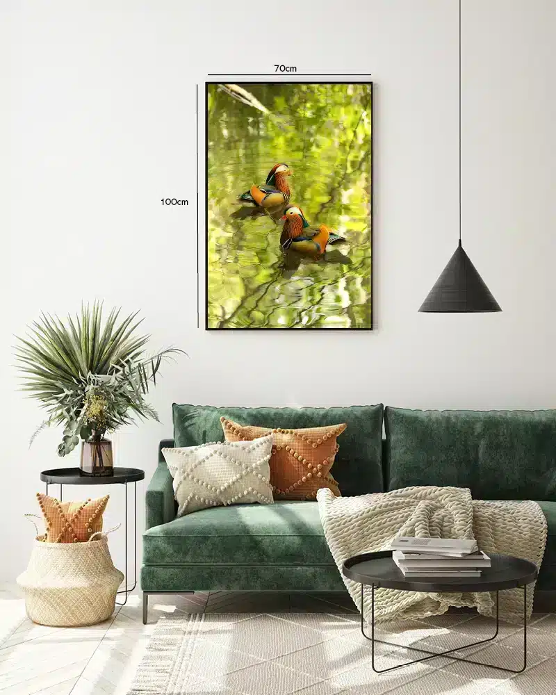 Ugle Mandarin Plakat