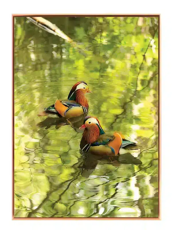 Ugle Mandarin Plakat