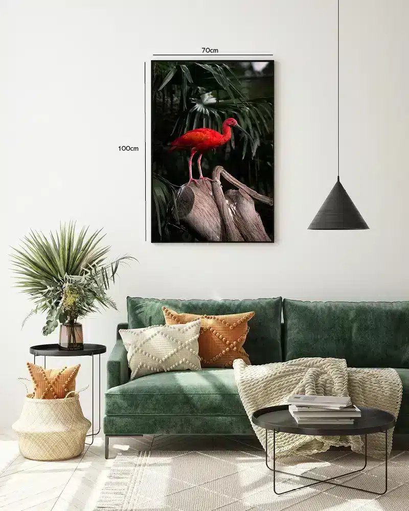 Scarlet Ibis Plakat