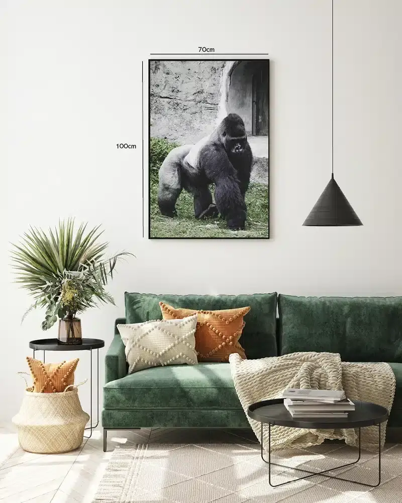 Silverback Gorilla Outdoors Plakat