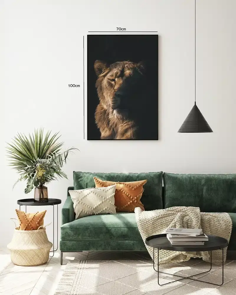 Lioness Half Light Plakat