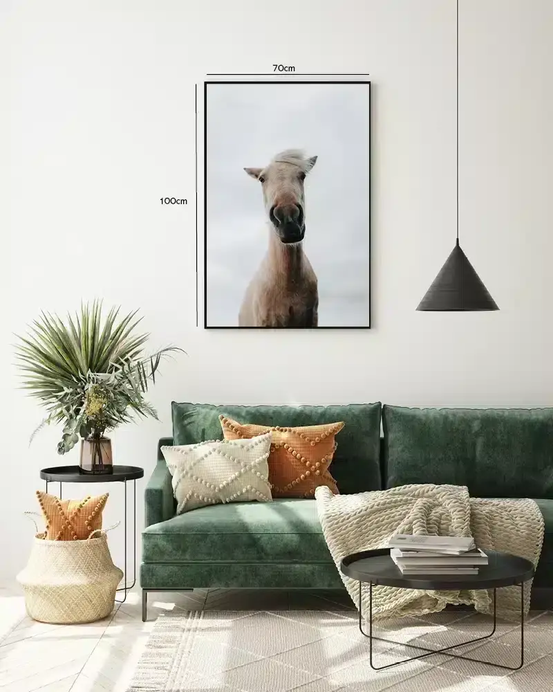 Light Horse Plakat