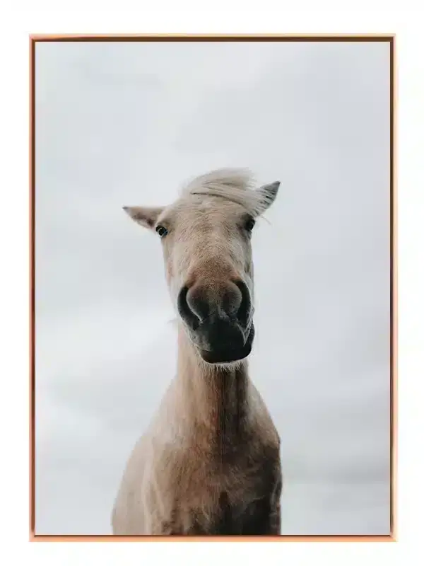 Light Horse Plakat