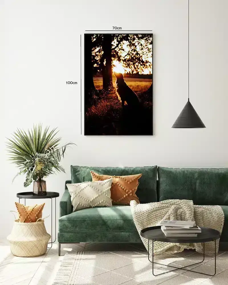Hund Border Collie Silhouette Plakat