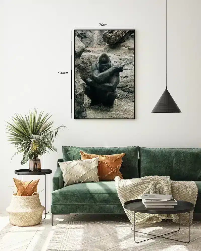 Silverback Gorilla Rocky Background Plakat