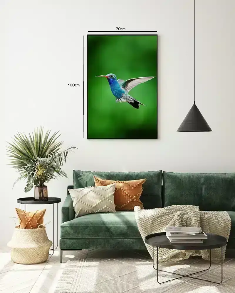 Hummingbird In Plakat