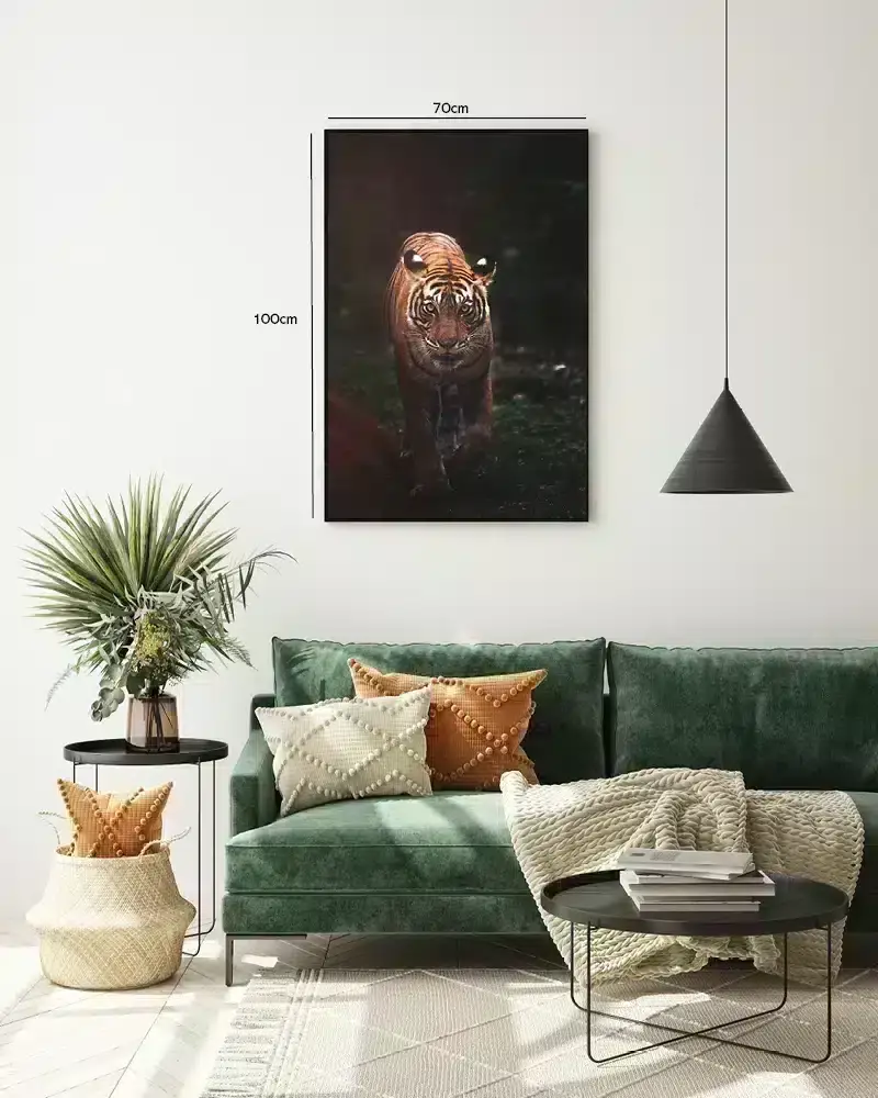 Tiger In Shadow Plakat