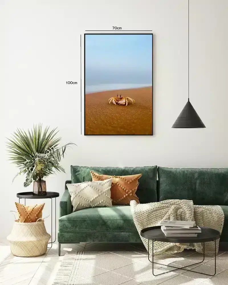Ghost Crab Plakat