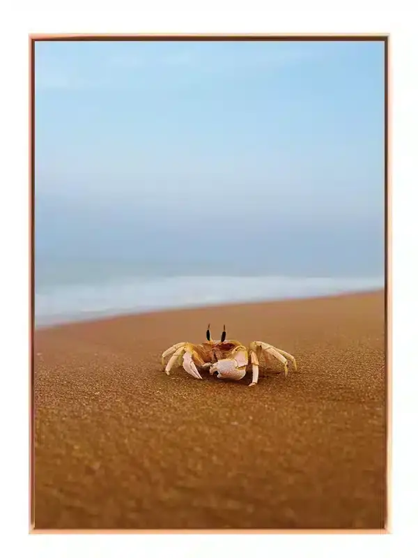 Ghost Crab Plakat