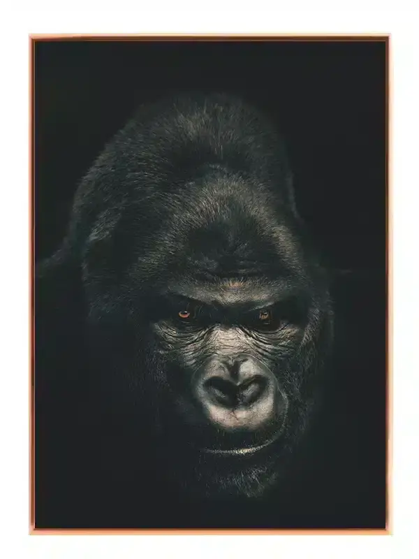 Silverback Gorilla II Plakat
