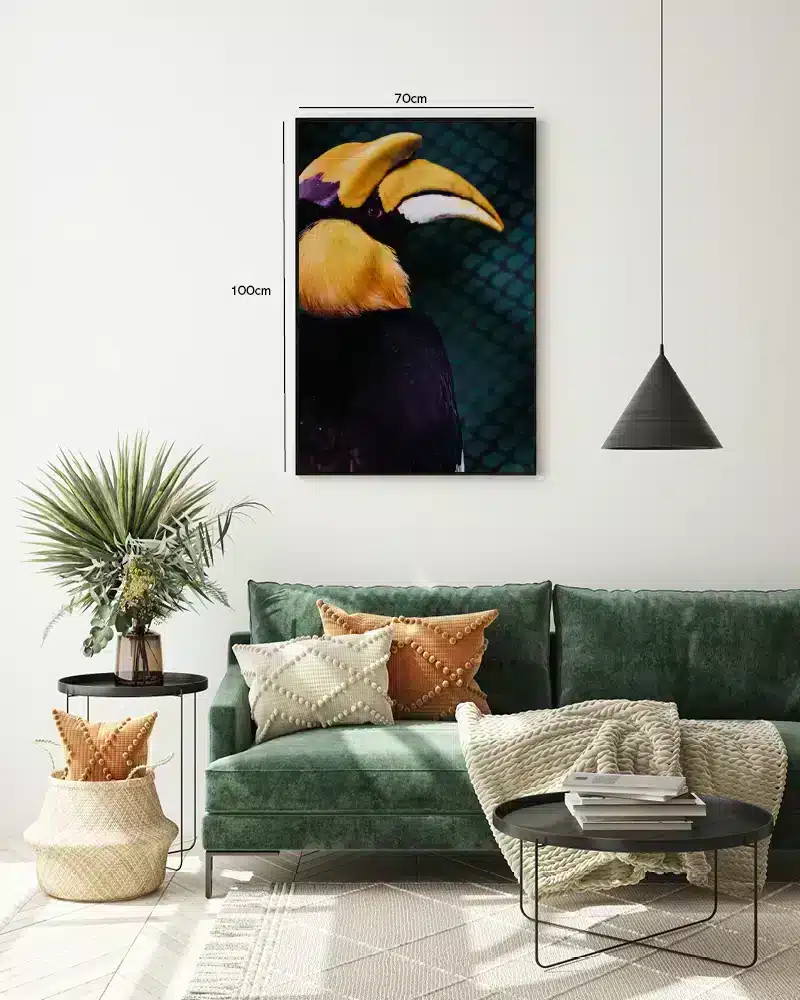 Great Hornbill Plakat
