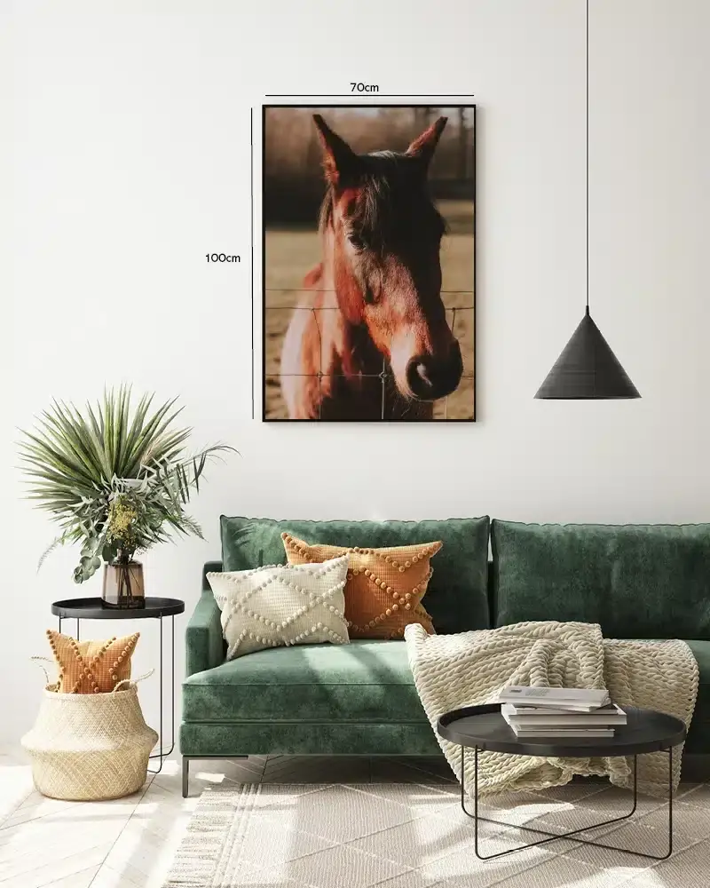Bay Horse Plakat
