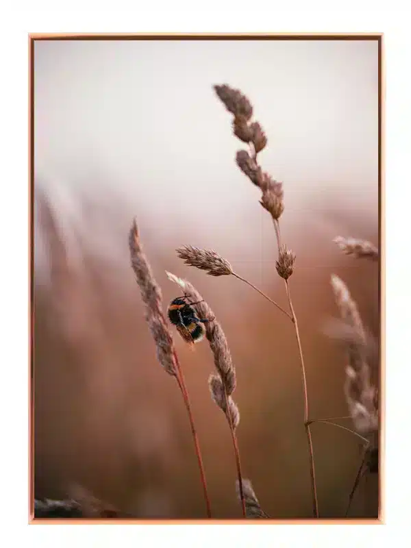 Bumblebee Plakat
